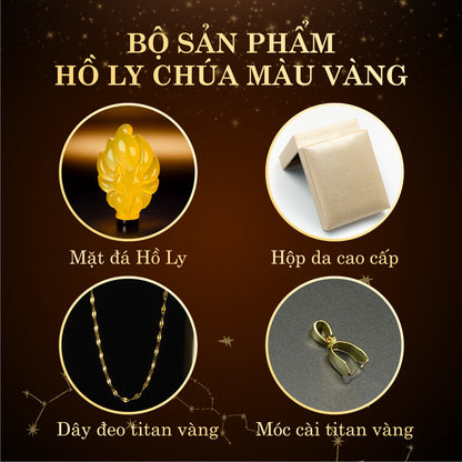 HỒ LY CHÚA MAY MẮN - MÀU VÀNG