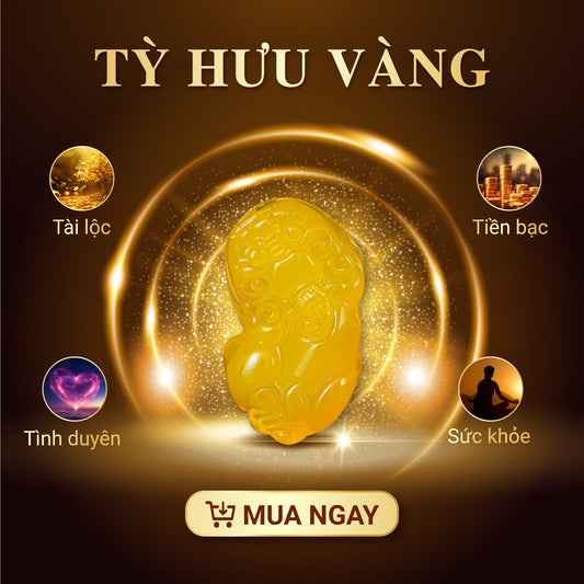 TỲ HƯU VÀNG