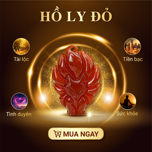 HỒ LY CHÚA MAY MẮN - MÀU ĐỎ
